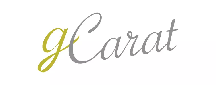 新サイト開設「gCarat」
