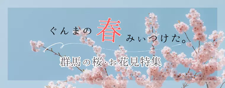 群馬の桜・お花見特集　おすすめお花見スポット2026