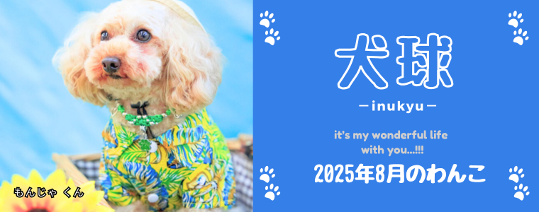 犬球　2025年8月