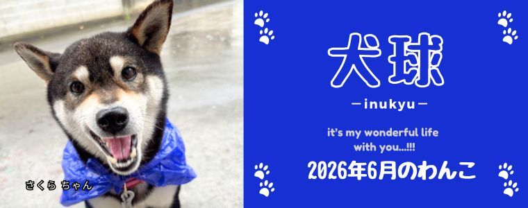 犬球　2026年6月 のコピー