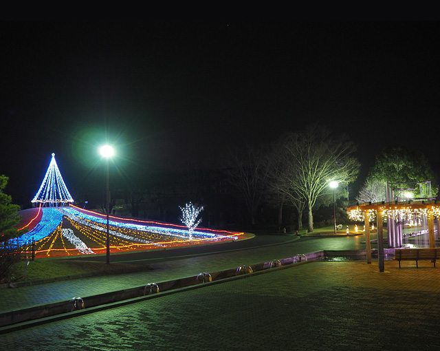 つつじが岡公園イルミネーション 群馬のイルミネーション 夜景特集21 22 イルミネーション ライトアップ 植物 野外 館林市 イベント情報 ぐんラボ