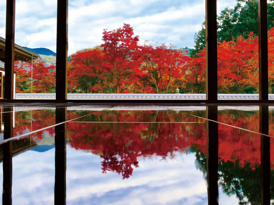 奥四万湖 群馬の紅葉特集 紅葉 季節 自然 吾妻郡中之条町 イベント情報 ぐんラボ