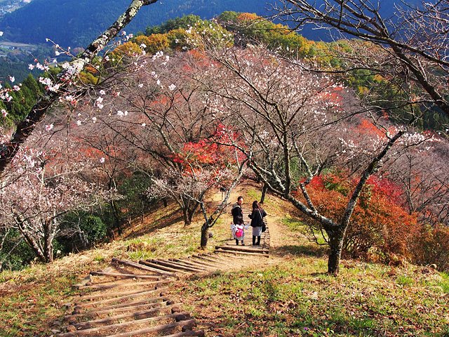 群馬の紅葉特集 ぐんラボ