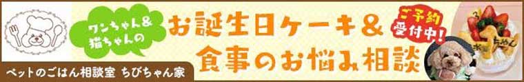 ちびちゃん家20221223