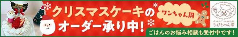 ちびちゃん家クリスマスケーキ